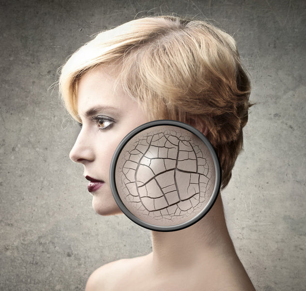 Treat Skin to Anti-Dryness