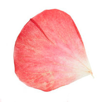 Perfect Comfort Gentle Smoother